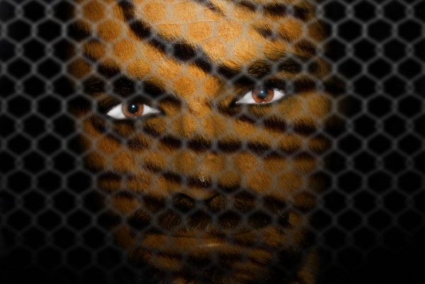 Photograph Aj Silva Animaliia on One Eyeland
